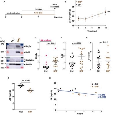 A Soybean Resistant Protein-Containing Diet Increased the Production of Reg3γ Through the Regulation of the Gut Microbiota and Enhanced the Intestinal Barrier Function in Mice